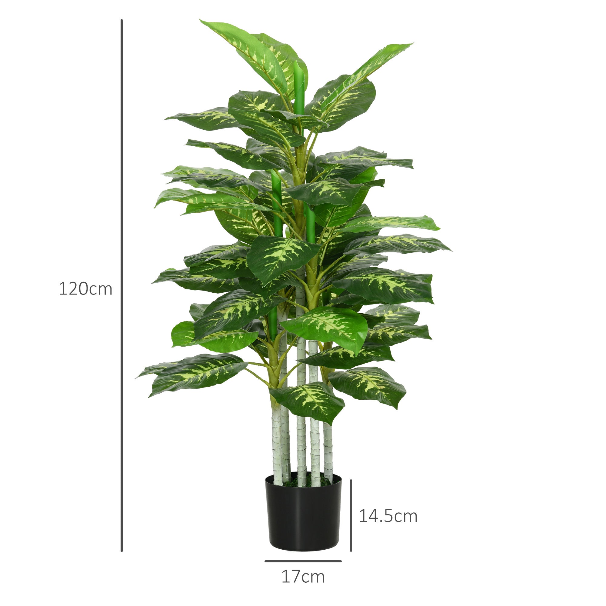 54395588a9a1e9e5921ba3d715e7d536