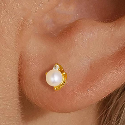 356ba444f74fd2ee632ef19d24276cd5